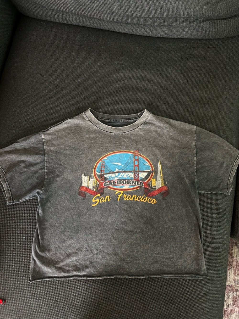 Brandy Melville Dark Gray San Francisco Graphic Tee - one size